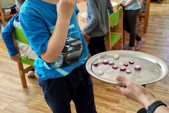 První letošní úroda 1