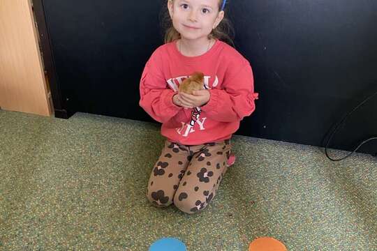 Od vajíčka ke kuřátku 1