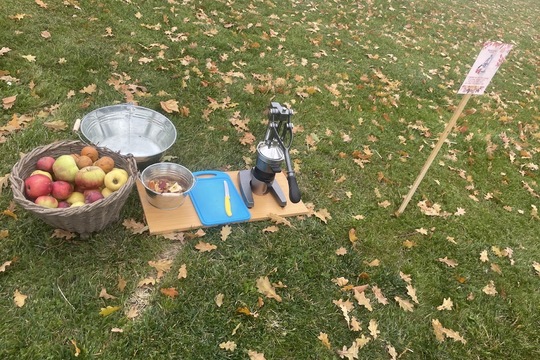 Podzimní slavnost - Jablka a řepa 1