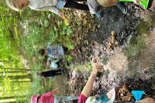 Studánková víla a čištění studánek 1