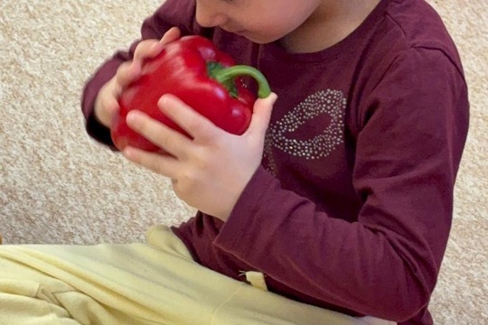 Paprika jako propojené aktivity  1