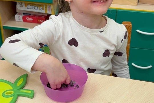 Ledová lednová krmítka  1