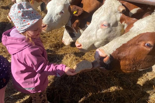 Návštěva farma Drozdových v Kravsku Návštěva farma Drozdových v Kravsku 1