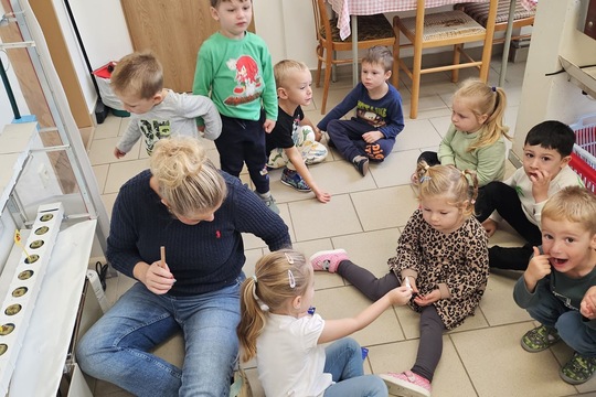 Berušky z MŠ Kollárova sází bylinky do hydroponické zahrádky 1