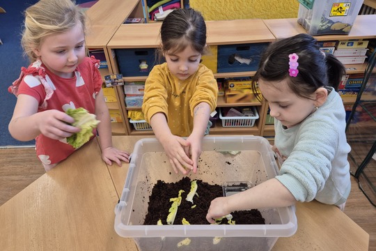 Noví šnečí kamarádi  1