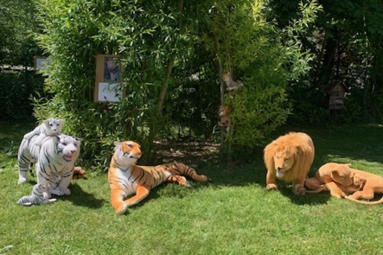 Rodinný výlet do ZOO Benátky Rodinný výlet do ZOO Benátky 1