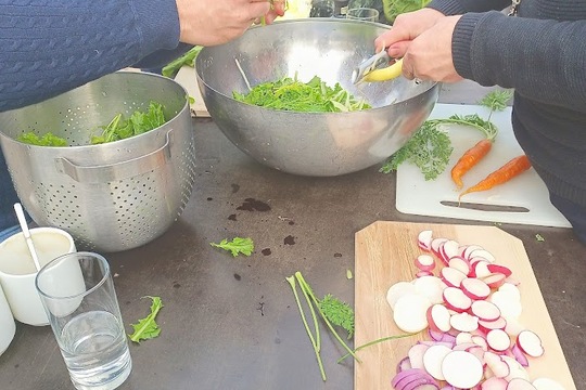 Informace z MŠ Motýlek ze setkání zástupců zapojených škol  do projektu SchoolFood4Change ve Vídni 1