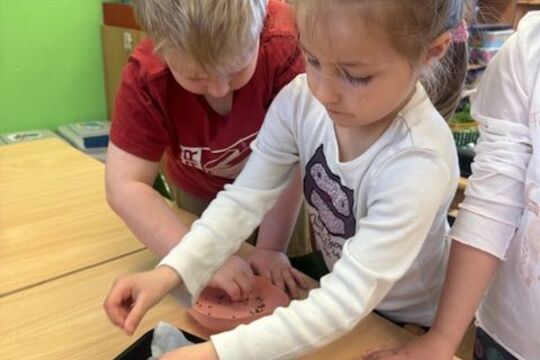 Microgreens - Sovičky 1