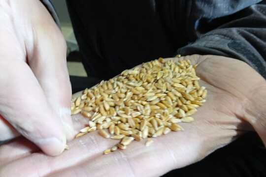 Za poznáním života na bio farmě v Úlovicích Za poznáním života na bio farmě v Úlovicích 1