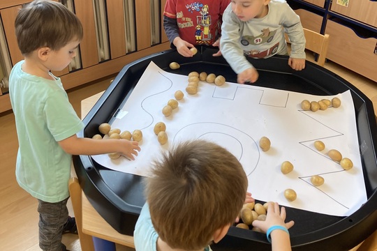 Brambory - Berušky 1