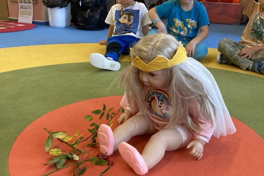 Vše o šípku - Berušky 1