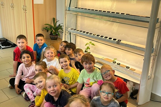 Koťátka z MŠ Kollárova - Sázení petržele a kopru 1