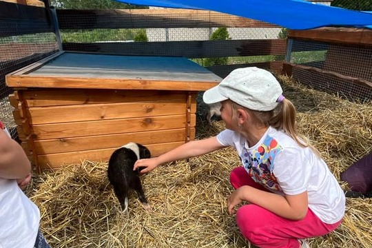 Malý farmář ve Farmaparku u Toma  1