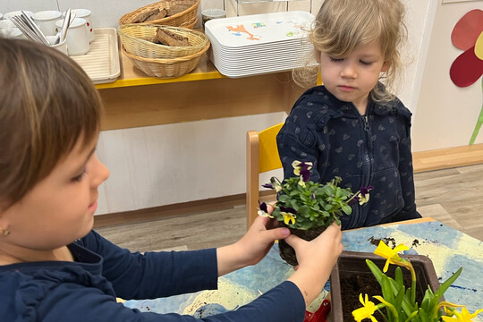 Kytičky z MŠ Kollárova - Jarní květiny 1