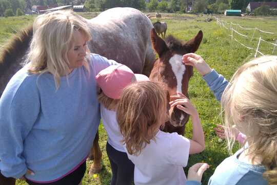 Návštěva farmy "Appaloosa". 1