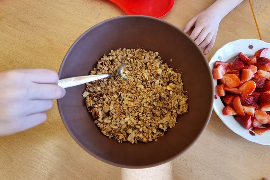 Ježečci - Granola s jablky, medem a skořicí 1