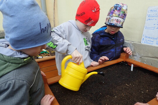 Jarní práce na vyvýšených záhonech  1