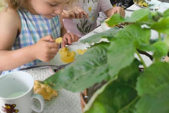 Cesta za TAJEMSTVÍM babiččiny KUCHYNĚ naposledy.. LÉTO a HOSTINA pod širým nebem Cesta za TAJEMSTVÍM babiččiny KUCHYNĚ naposledy.. LÉTO a HOSTINA pod širým nebem 1