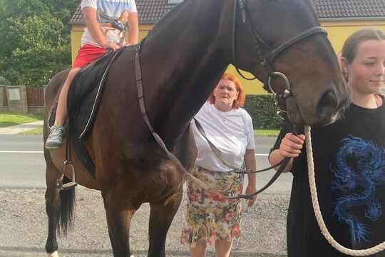 Zahradní slavnost  1