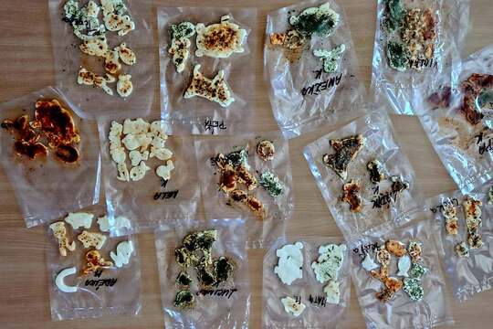 Návštěva zemědělské školy v Lanškrouně 1