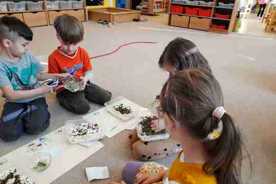 „Řekni řeřicha“ 1