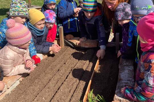 Jak Berušky pěstovaly mrkev Jak Berušky pěstovaly mrkev 1