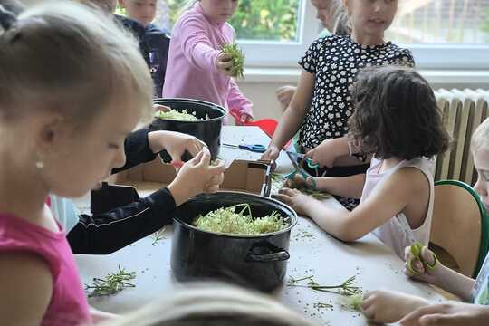 Voňavá bezinková šťáva vznikala pod rukama našich žáků Voňavá bezinková šťáva vznikala pod rukama našich žáků 1
