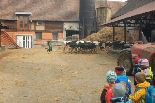 Berušky na výletě v rodinné farmě Krhanice Mikoláš 1