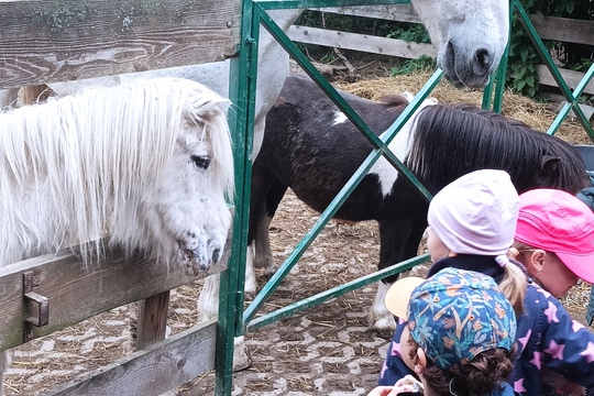 Farma s domácími zvířaty – Duběnka 1