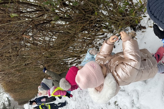 ZÁVĚSNÁ KRMÍTKA PRO PTÁČKY ZÁVĚSNÁ KRMÍTKA PRO PTÁČKY 1