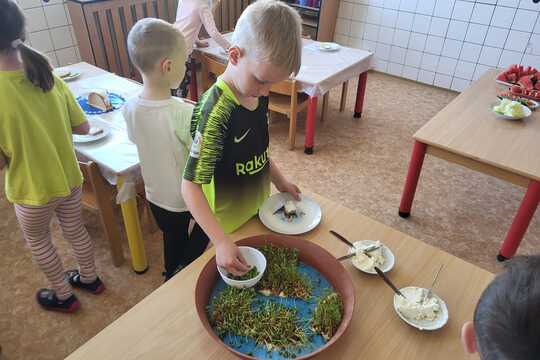 Co roste na Zemi - Sluníčka 1