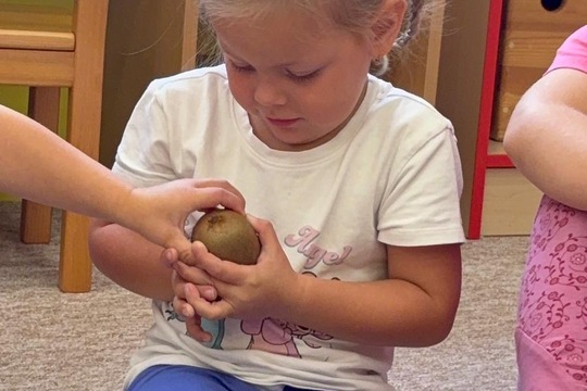 Ovoce a zelenina jako součást matematické gramotnosti Ovoce a zelenina jako součást matematické gramotnosti 1