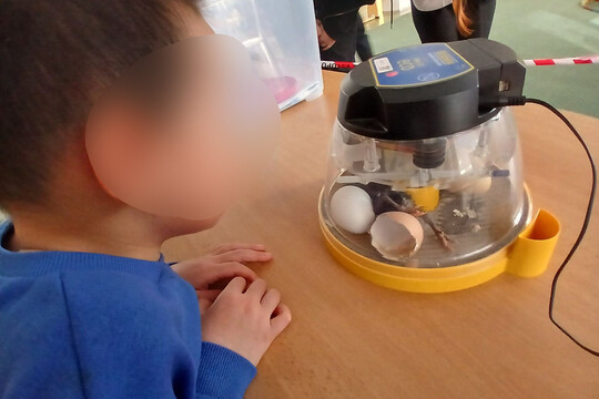 Co je u nás nového? 1