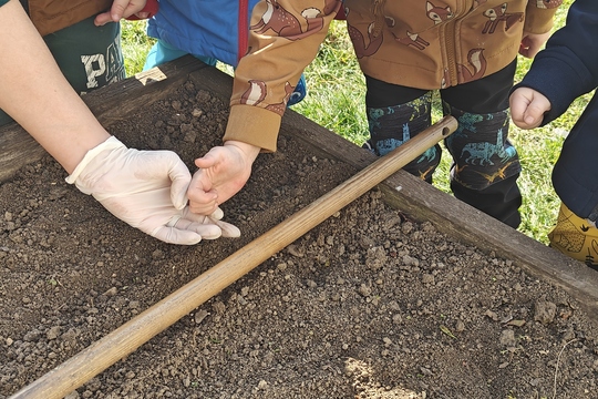 Bylinková radost v naší školce 1