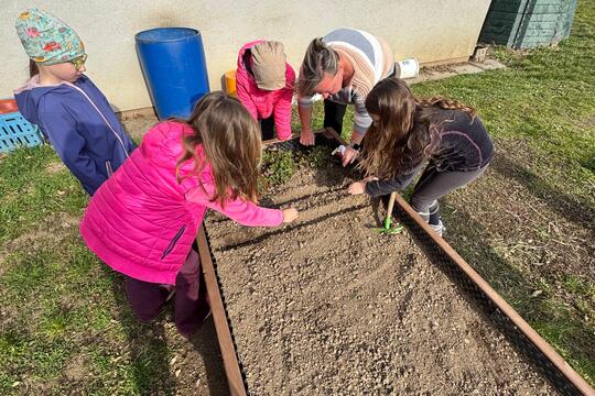 Probouzení záhonků  1