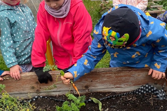 Děti z MŠ ukončily zahradnickou sezonu  1