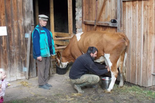 Na farmě v Částkově 1