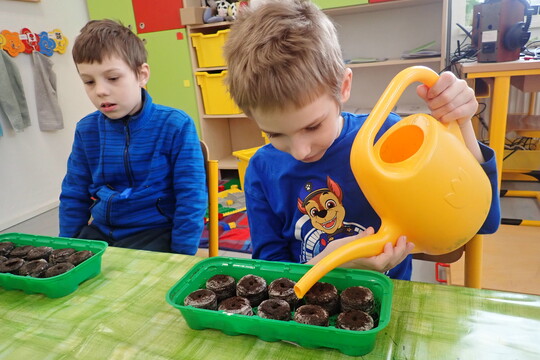 Vysévání semínek 1