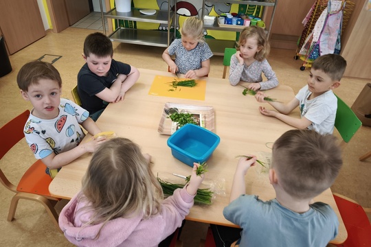 JARNÍ ZDRAVÁ POMAZÁNKA U BERUŠEK 1