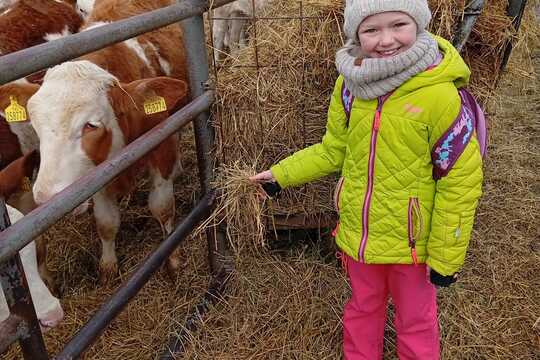 Za zvířaty na Rodinnou farmu Suchý ve Slavětíně Za zvířaty na Rodinnou farmu Suchý ve Slavětíně 1