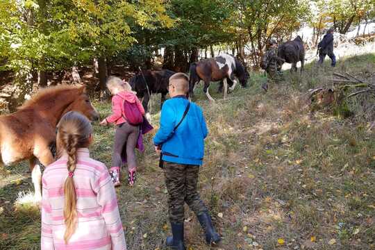 Návštěva farmy "Na samotě". 1