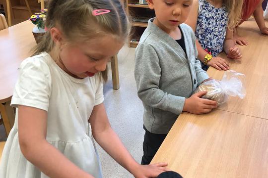 Chefs in Training - Berry Mousse Tort 1