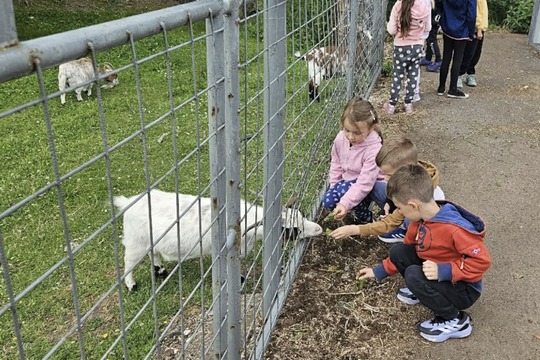 Předškoláci vyrazili na farmu do Slavětína 1