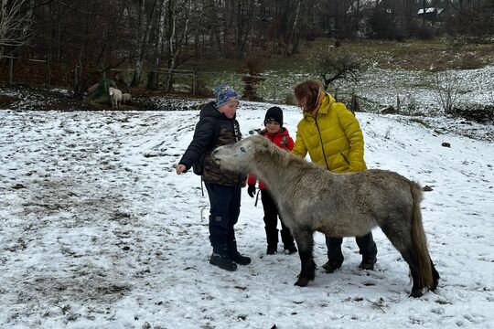 Návštěva poníků v Lísce Návštěva poníků v Lísce 1