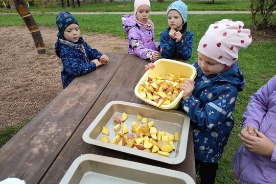 Pečené brambory v zahradní peci Pečené brambory v zahradní peci 1