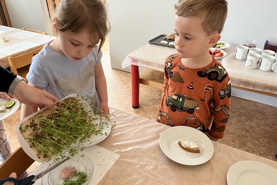 Microgreens - Berušky 1