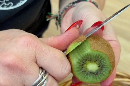 Ovoce a naše smysly  1