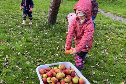 Moštování našich JABLÍČEK 1