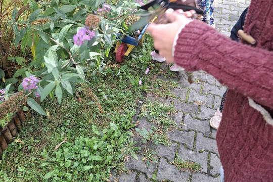 Dýňové království 1