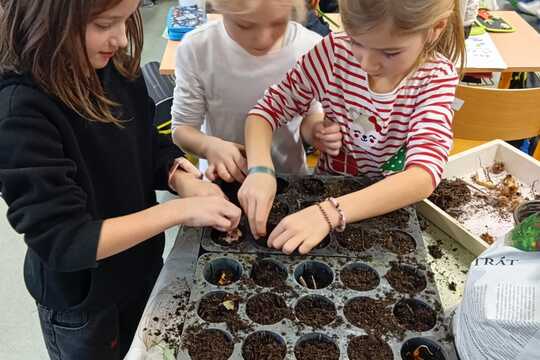 „Matematika naruby aneb pěstujeme v souřadnicích“ 1